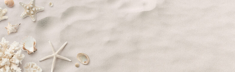 beach / sea themed banner or header with beautiful shells, corals and starfish on pure white sand - summer concept