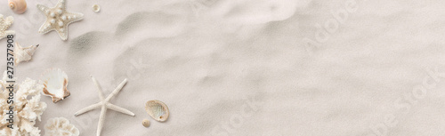 Fotografie, Obraz beach / sea themed banner or header with beautiful shells, corals and starfish o