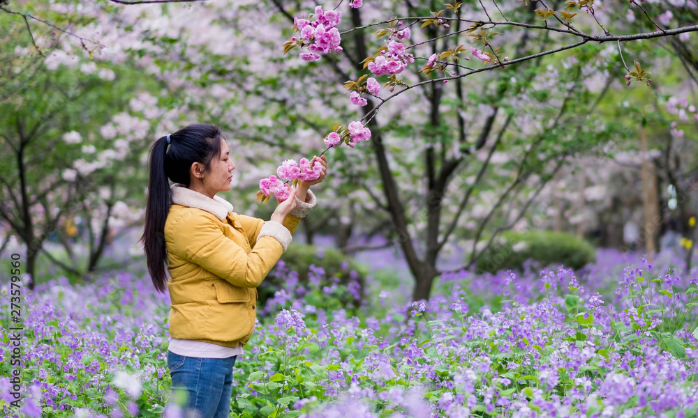 Unspecific woman touching at the Cherry blossom in the east lake. Unspecific woman touching at the Cherry blossom in the east lake.
