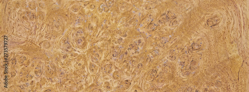 natural burl wood grain texture for banner background