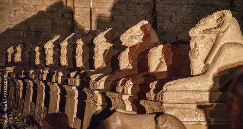 Vászonkép Row of Massive Stone Carved Lions Gaurd the Entrance to Luxor Egypt at Night