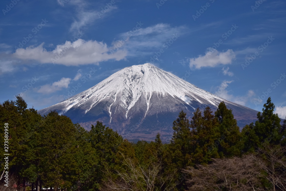 富士山と雲~Mt.Fuji and Clouds. 富士山と雲~Mt.Fuji and Clouds.