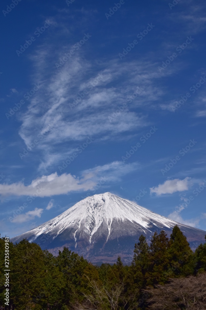 富士山と雲~Mt.Fuji and Clouds. 富士山と雲~Mt.Fuji and Clouds.