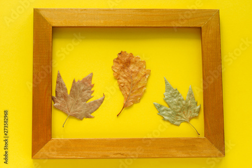 top view of autumn leaves in a golden frame isolated on bright yellow background photo