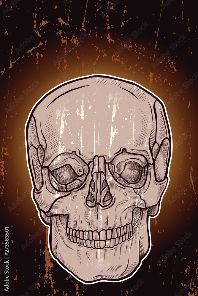 Skull with grunge and glowing background Skull with grunge and glowing background