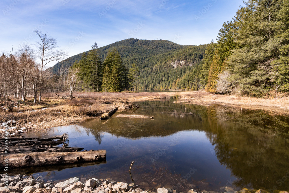 a lake with fallen tree trunks and tall brown grasses on the side near forest covered mountains under cloudy blue sky a lake with fallen tree trunks and tall brown grasses on the side near forest covered mountains under cloudy blue sky