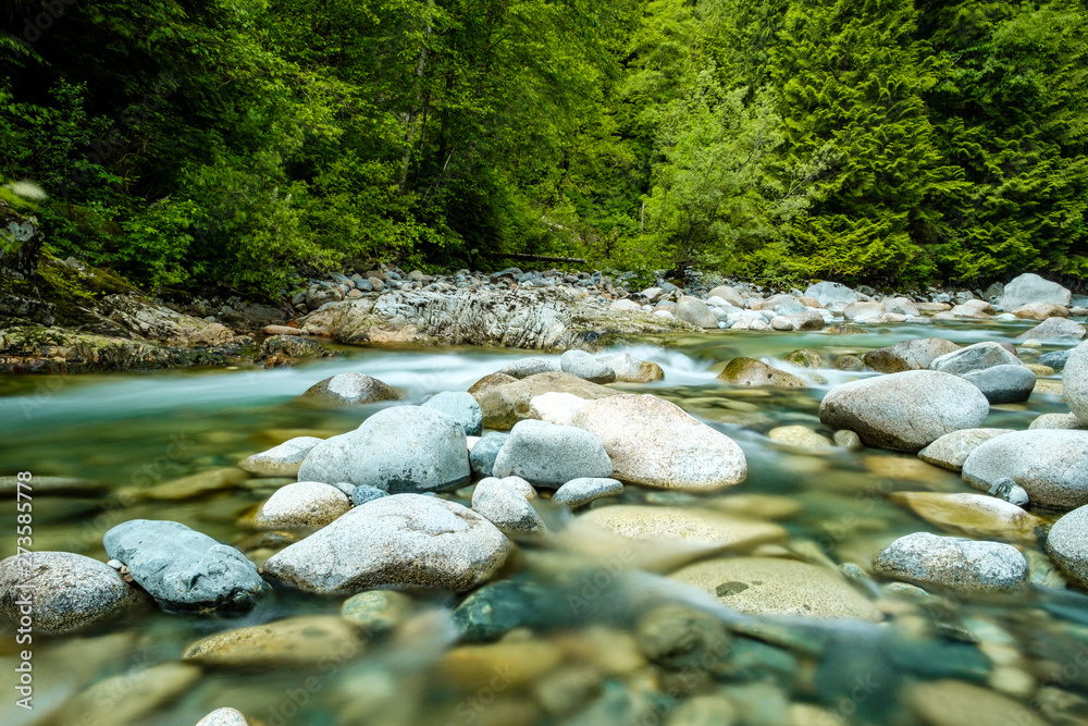 stream with clear water run down the rocky creek inside forest with green trees on the shore stream with clear water run down the rocky creek inside forest with green trees on the shore