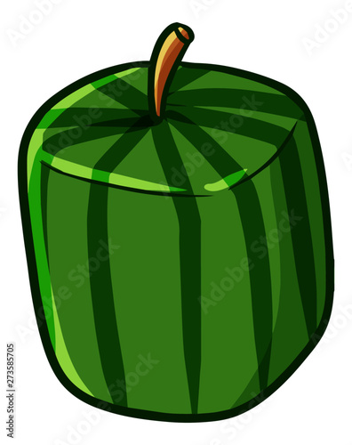 Cute and funny box shape watermelon - vector.