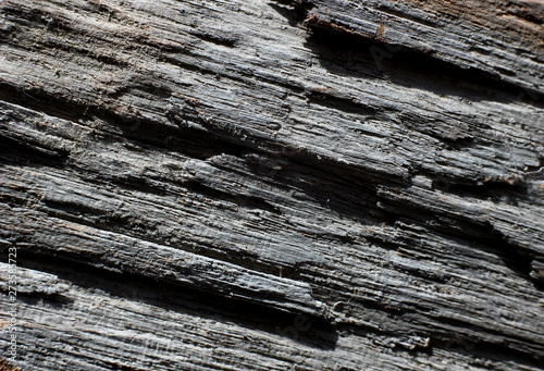 uneven structure of old tree as background