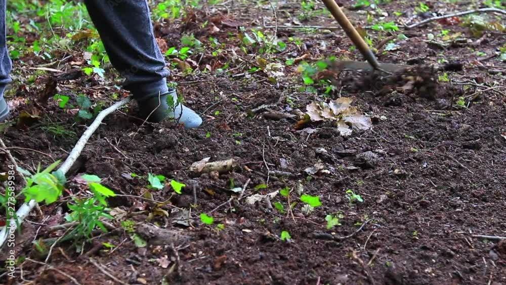 Closeup shot of a teenager with gardening boots cleaning fallen leaves in the garden with a rake. Closeup shot of a teenager with gardening boots cleaning fallen leaves in the garden with a rake.