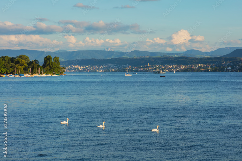 Lake Zurich at sunset in summer, summits of the Alps in the background, view from the city of Zurich