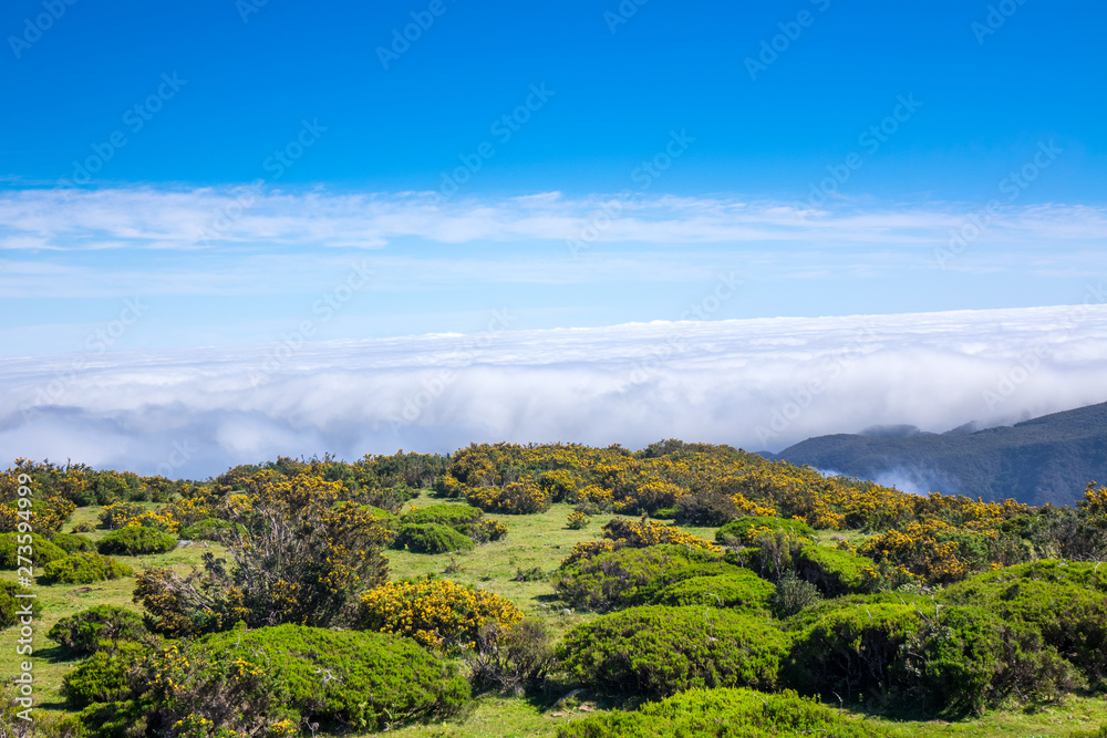 Obraz premium Beautiful valley view of Madeira island, mountains landscape of Levada da Ribeirs da Jaxela, Portugal