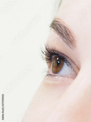 Fototapeta Naklejka Na Ścianę i Meble -  Cosmetic procedure for the care of eyelashes. The result of dyeing, waving and laminating eyelashes