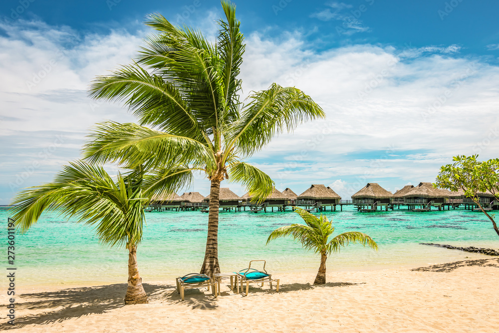 Tropical beach with palm trees and sun beds. 