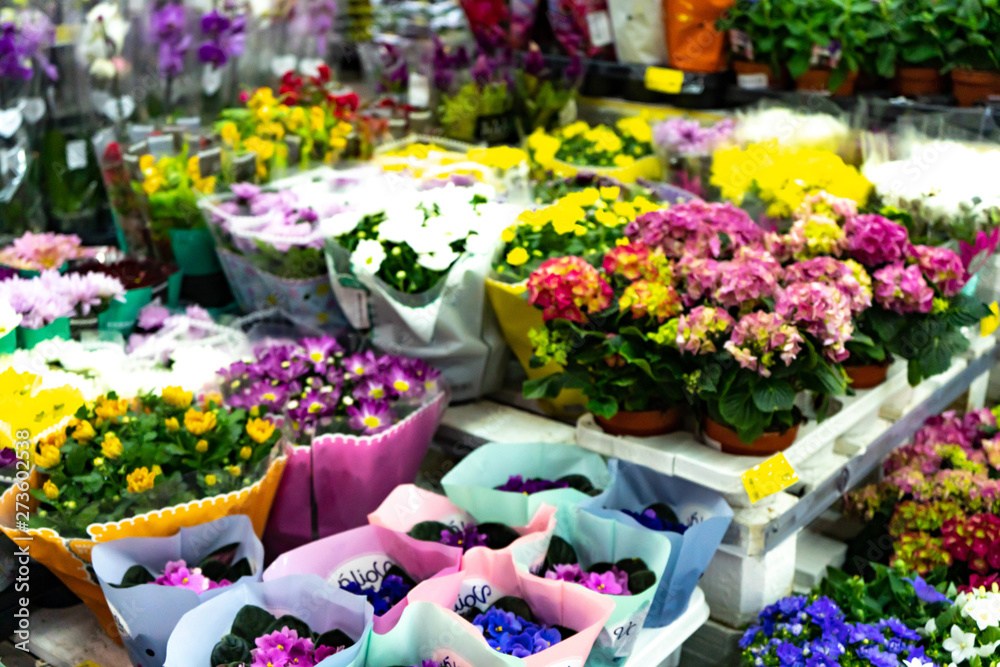 Chelyabinsk Region, Russia - June 2019. Selling bright live flowers. Bright summer flower bouquets in the flower shop