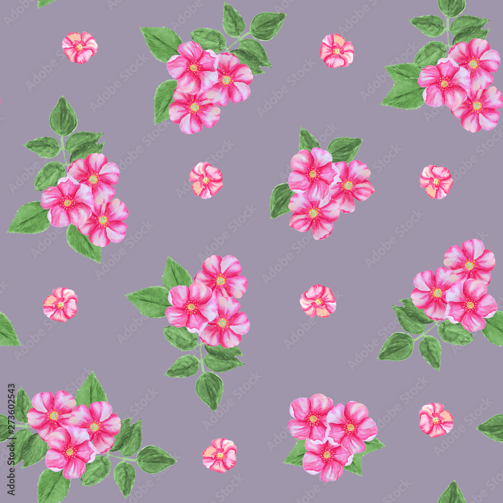 Seamless pattern of pink rosehip flowers isolated on a grey background.