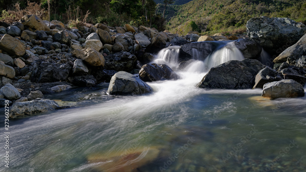 Fototapeta premium A waterfall on Hacket Creek, Mount Richmond Forest Park, New Zealand.