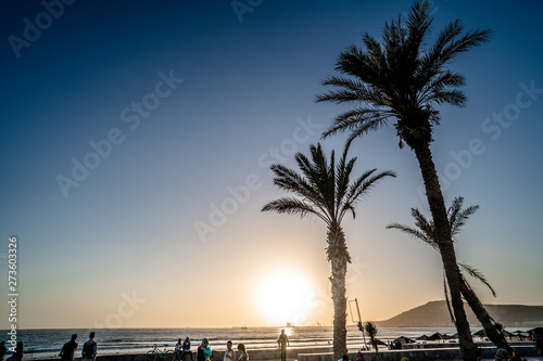 Sunset by the sea and palm trees © DK-ART