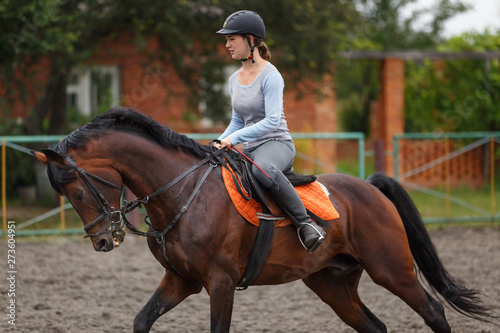 Young girl riding bay horse on equestrian sport training © skumer