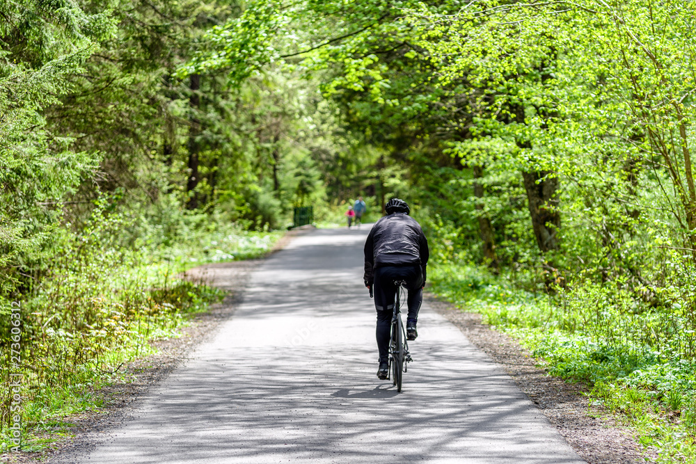 Biking in forest Biking in forest