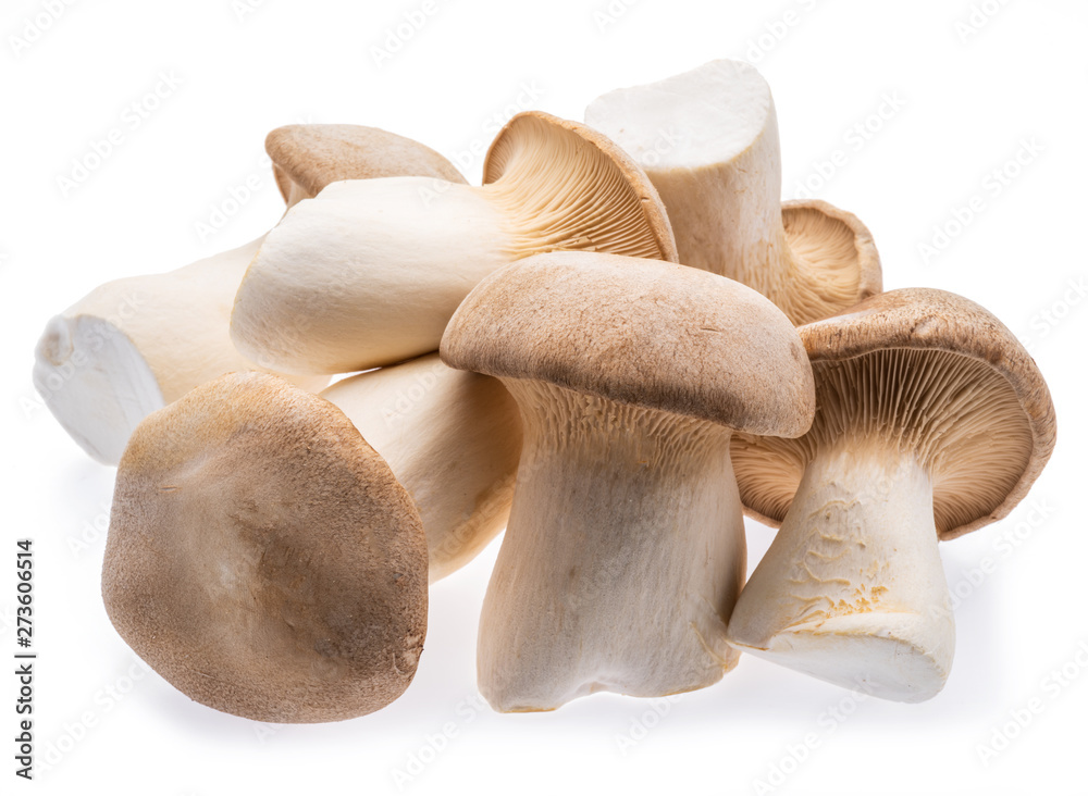 King oyster mushrooms isolated on white background. King oyster mushrooms isolated on white background.