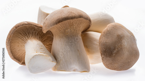King oyster mushrooms isolated on white background.