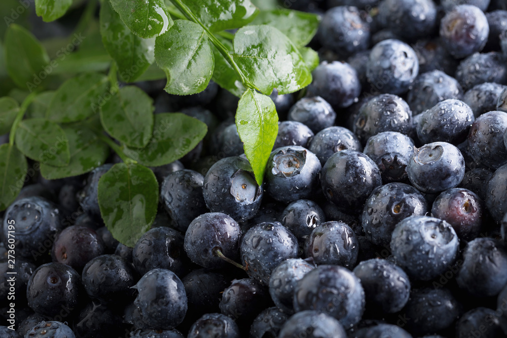 Ripe and juicy fresh picked blueberries closeup. Ripe and juicy fresh picked blueberries closeup.