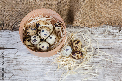 Quail eggs in small wooden box and beside to her