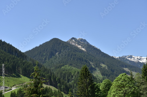 Saalbach-Hinterglemm, Salzburg, Pinzgau, Lengau, Weiler, Landwirtschaft, Bergbauerndorf, Weide, Alm, Wald, Kitzbühler Alpen, Glemmtal, Berg, Tal, wandern,  Urlaubsregion, Ferien, Sport, bergsteigen, B photo