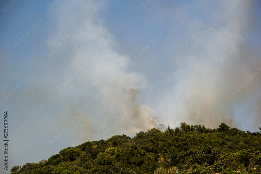 Fototapeta premium Forest Fire Smoke On The Slopes Hills. Fire In Mountain Forest. Wild Fire In Forests