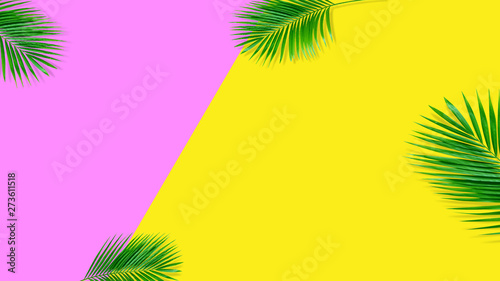 Summer composition. Tropical palm leaves on yellow background. Summer concept.