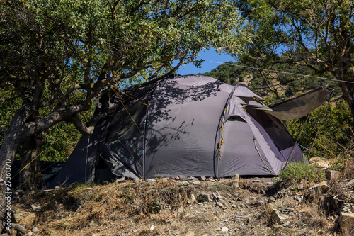 Silver Tent in the Green Bush on a Sunny Summer Day in the tourist camping © dashtik