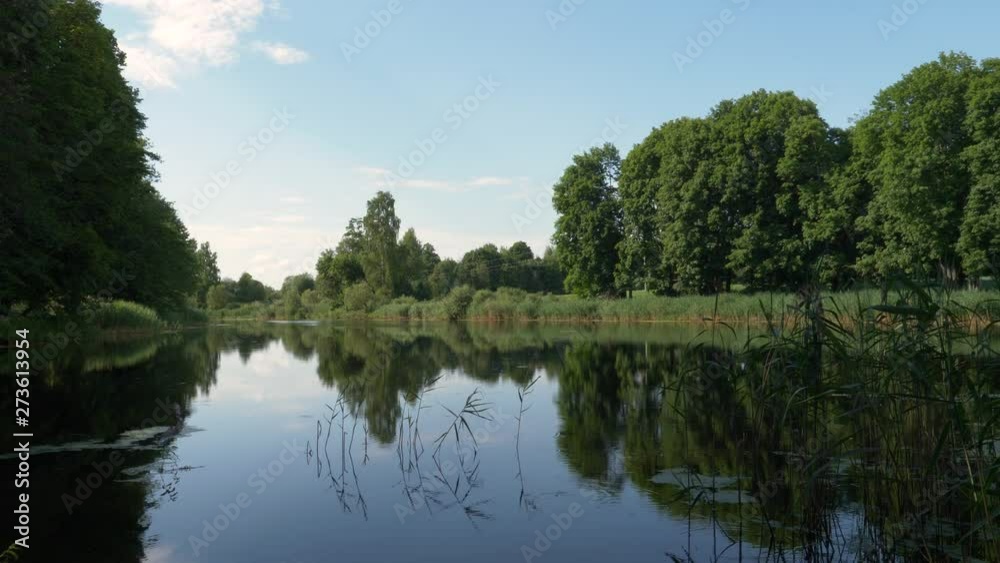 summer landscape on a quiet forest lake summer landscape on a quiet forest lake