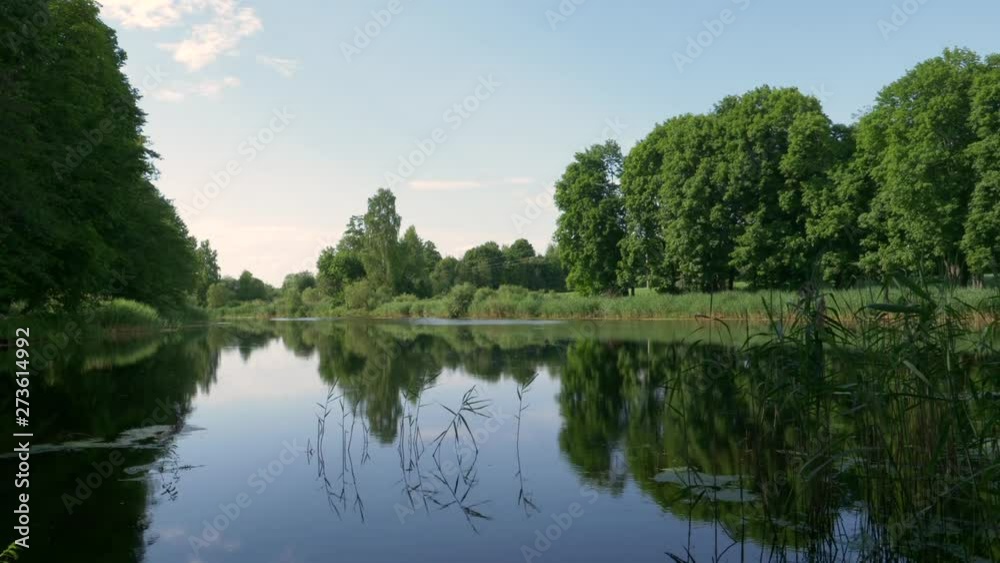 summer landscape on a quiet forest lake summer landscape on a quiet forest lake