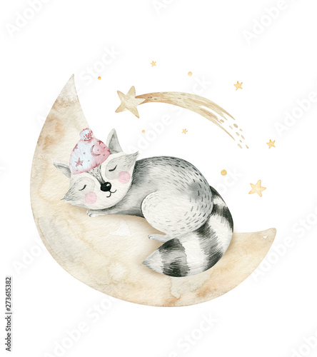 Cute dreaming cartoon cartoon animal hand drawn watercolor illustration. Sleeping charecher kids nursery wear fashion design, baby shower invitation card. photo