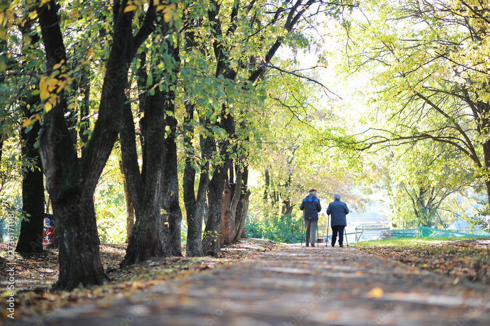 Autumn background in the park