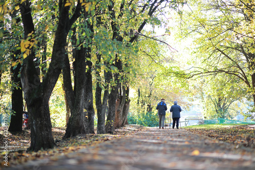 Autumn background in the park