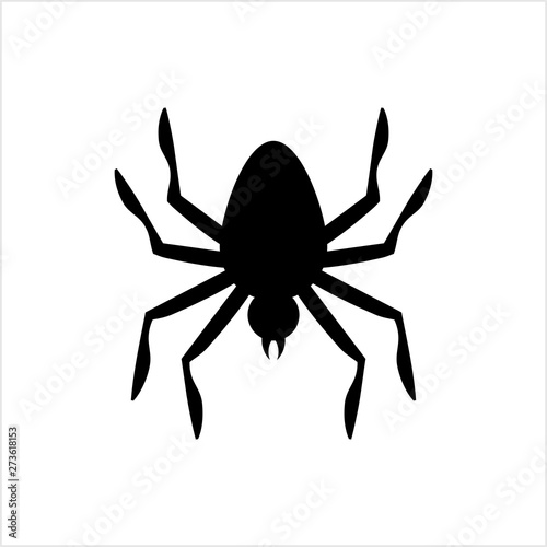 Spider Icon, Spider