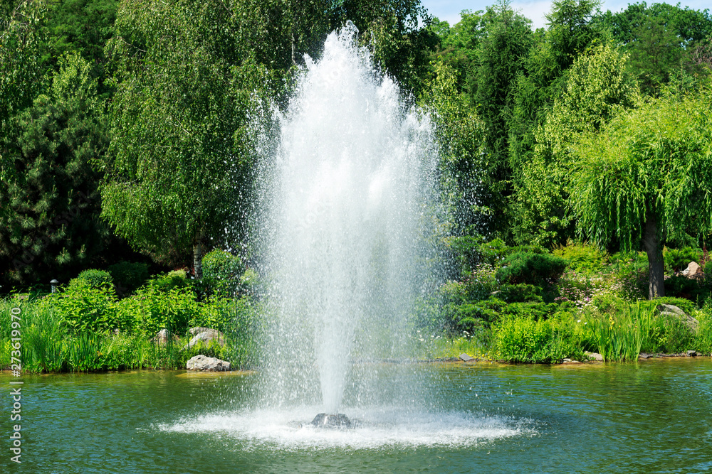 fountain in the lake in the park