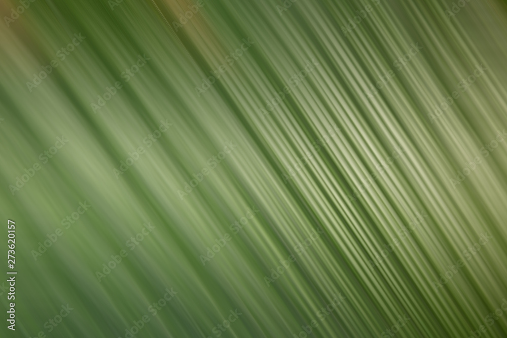 Fototapeta premium Green color abstract background and backdrop