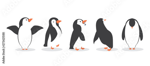 Fotografie, Obraz penguin characters in different poses set