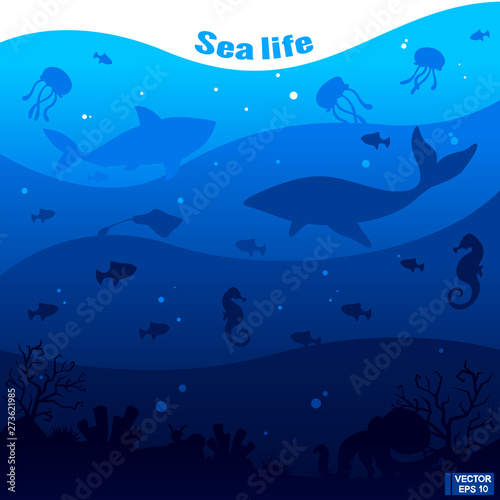 Fototapeta Naklejka Na Ścianę i Meble -  Underwater sea. Deep blue marine life. Ocean wildlife.