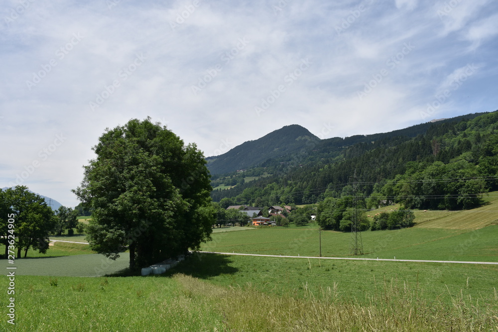 Lendorf, Feichtendorf, Dorf, Rotte, Straße, Landstraße, Kärnten