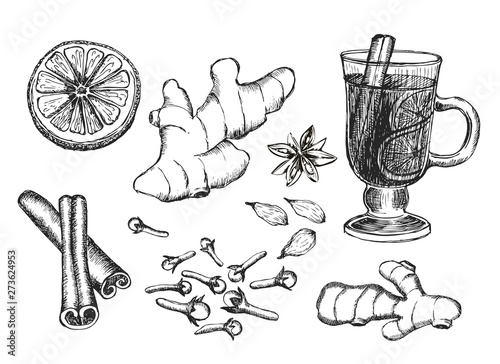Mulled Wine Glass and Cooking Ingredients. Vector Illustration. Hand drawn.