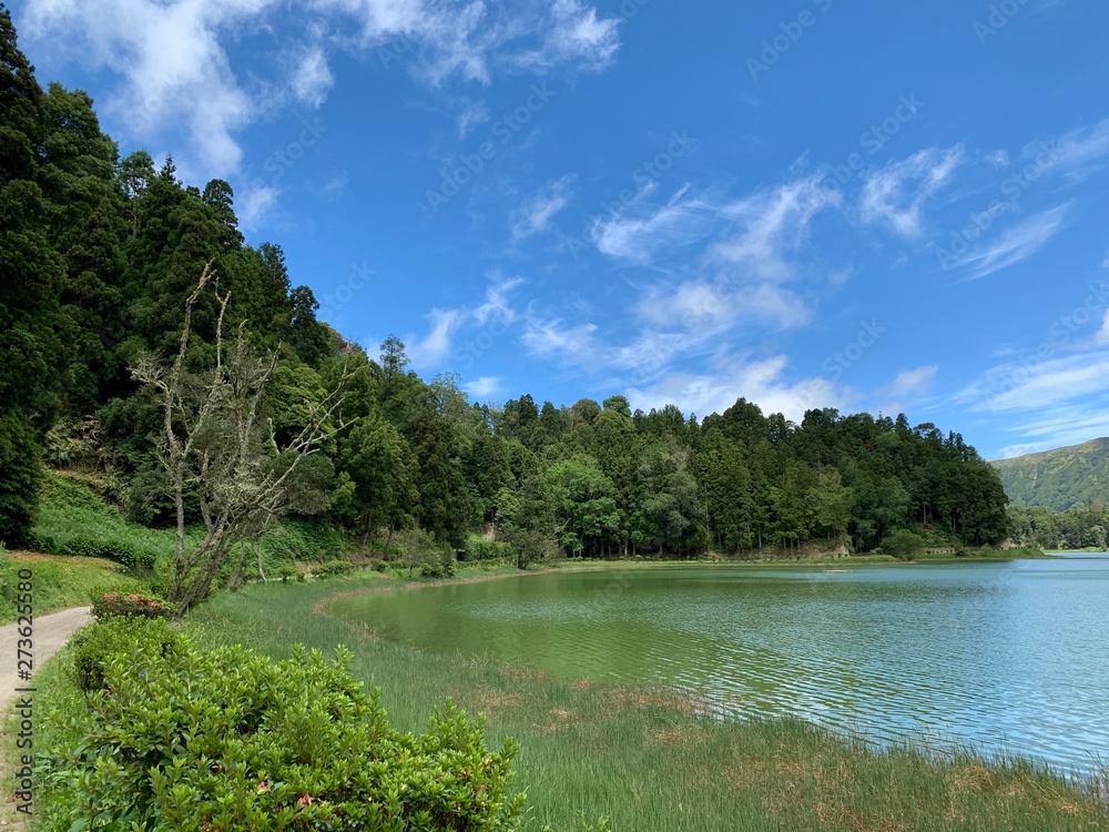 lake in deep forest on São Miguel island, Azores, Portugal near Sete Cidades