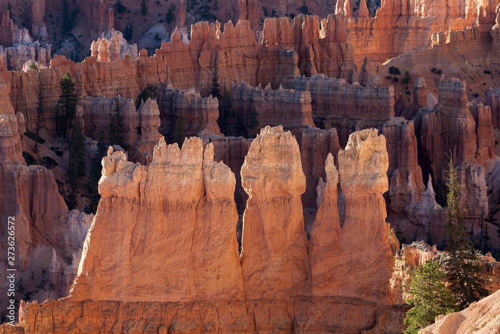 View of coloured rock formations in Bryce Amphitheater, fairy chimneys, morning light, Bryce Canyon National Park, Utah, USA, North America View of coloured rock formations in Bryce Amphitheater, fairy chimneys, morning light, Bryce Canyon National Park, Utah, USA, North America