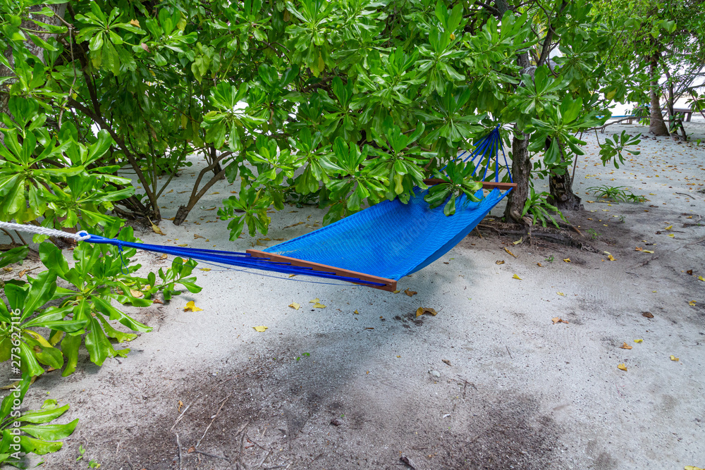 eine blaue Hängematte hängt zwischen Palmen, ein perfekter Platz zum ausruhen eine blaue Hängematte hängt zwischen Palmen, ein perfekter Platz zum ausruhen