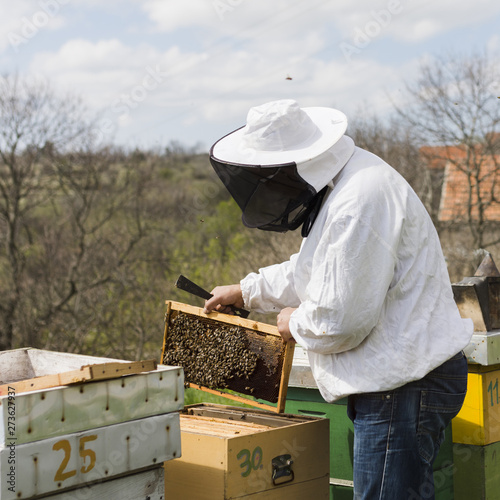 Beekeeper extracting honey