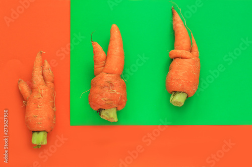 Ugly food. Deformed organic carrots on pastel background in green and orange duoton. photo