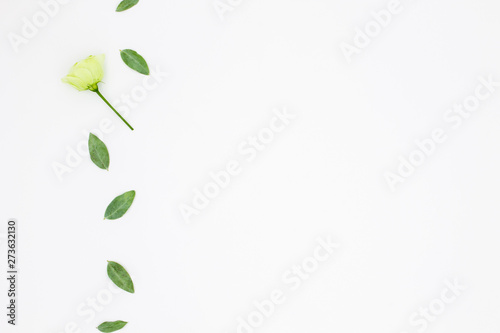 Flat lay white flower with room for text